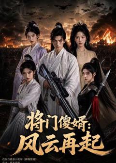 《将门傻婿：风云再起》