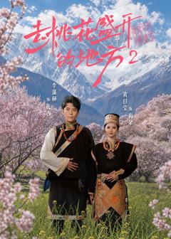 《去桃花盛开的地方第二部》