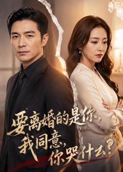 《要离婚的是你，我同意，你哭什么？》