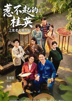 《惹不起的桂英之张老太重生记》