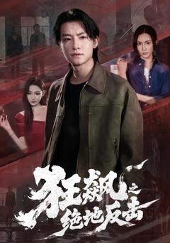 《狂飙之绝地反击》