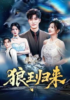 《狼王归来》