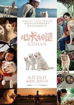心犬相随[电影解说]