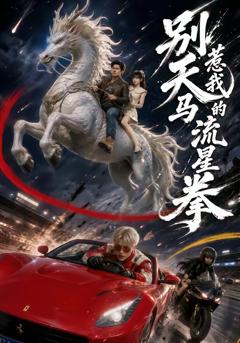 《别惹我的天马流星拳》