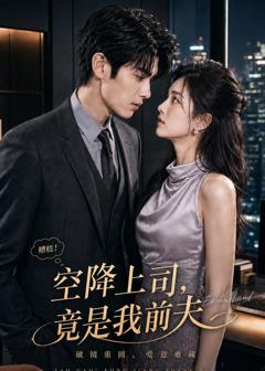 《空降上司，竟是我前夫》