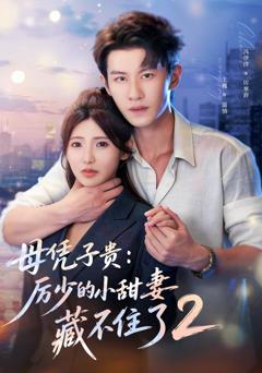 《母凭子贵：厉少的小甜妻藏不住了2》