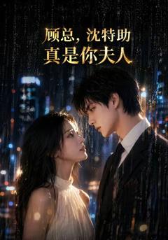 《顾总，沈特助真是你夫人》