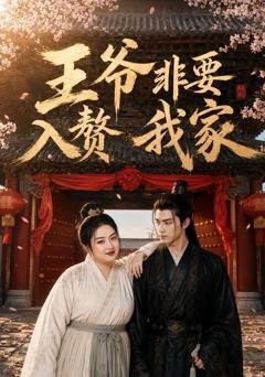 《王爷非要入赘我家》