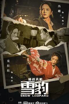 《雪豹之暗战天机[电影解说]》