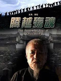 《腾越殇魂[电影解说]》