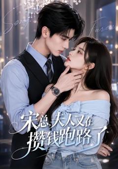 《宋总，夫人又在攒钱跑路了》