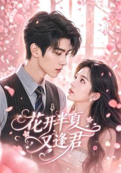 《花开半夏又逢君》